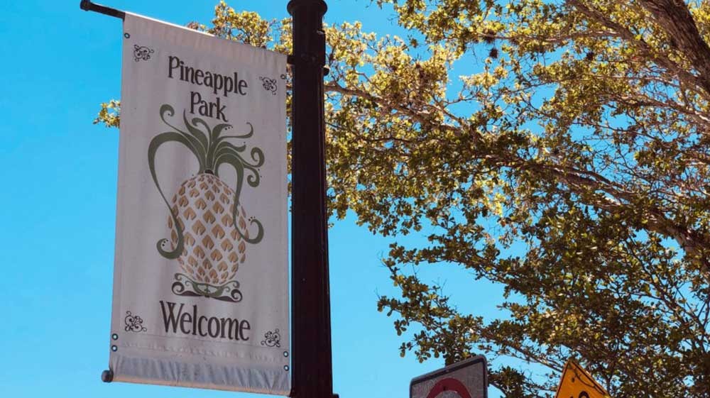 Pineapple Park West Palm Beach