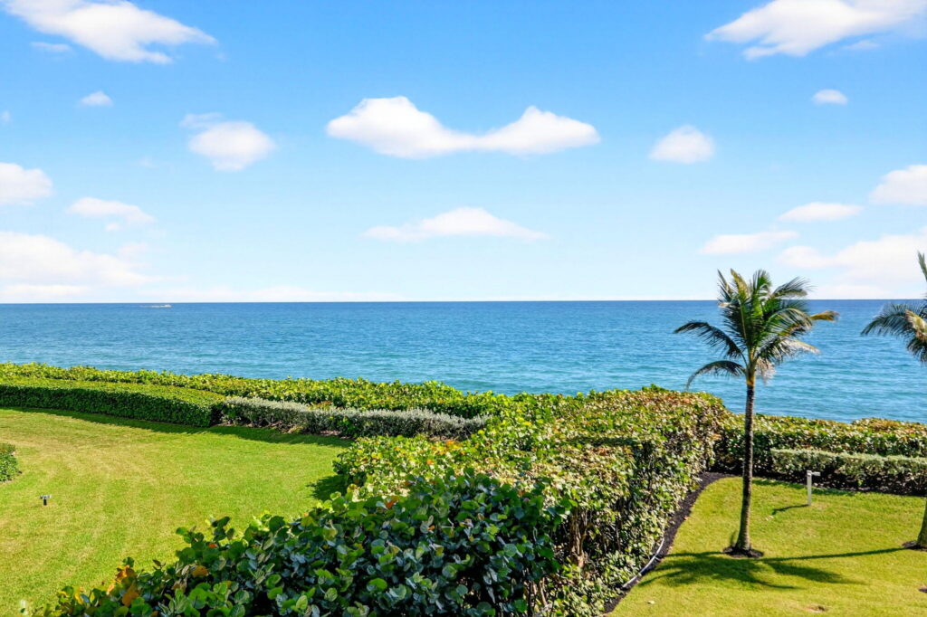 Ocean Views on South Palm Beach